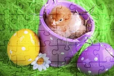 image jigsaw puzzle