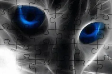 gatos divinos
