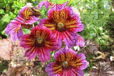 פאזל של Flors