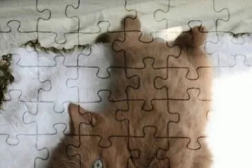 prenda jigsaw puzzle