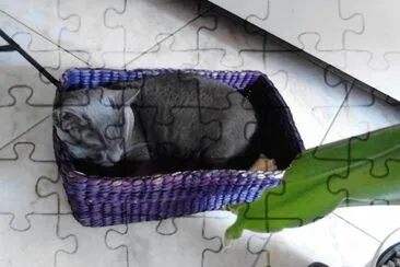 z jigsaw puzzle