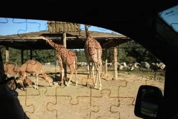 c jigsaw puzzle