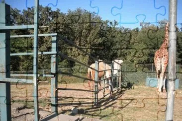 x jigsaw puzzle