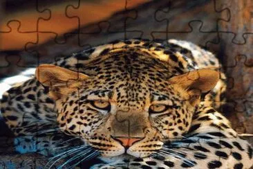 . jigsaw puzzle