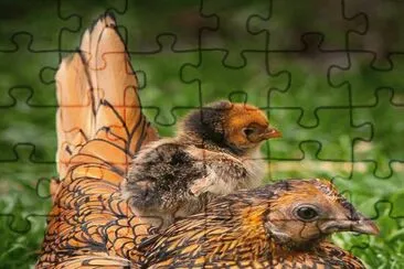. jigsaw puzzle