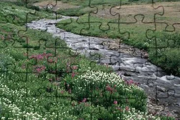 CaÃ±ada jigsaw puzzle