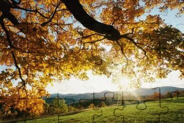 OtoÃ±o
