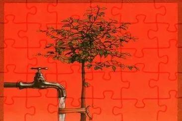 arbol