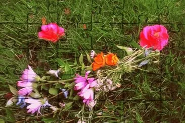 Flors jigsaw puzzle