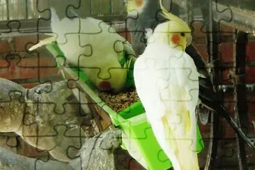 pajaricos 2 jigsaw puzzle