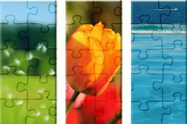 . jigsaw puzzle