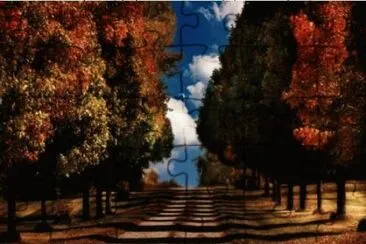 fall road
