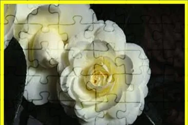Camelia Blanca jigsaw puzzle