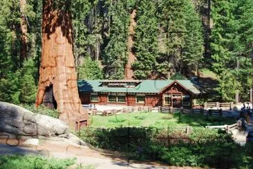 Redwoods visitor center