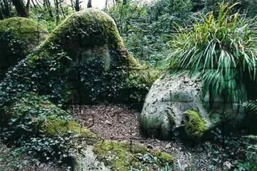 Natura