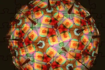 thorny jigsaw puzzle