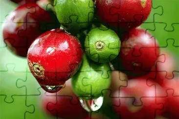 CAFÃ‰ CON ROCÃO jigsaw puzzle