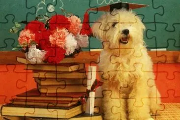 gosset jigsaw puzzle