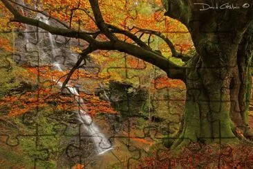 j jigsaw puzzle