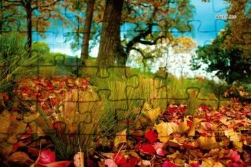 l jigsaw puzzle