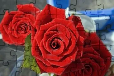 Roses jigsaw puzzle