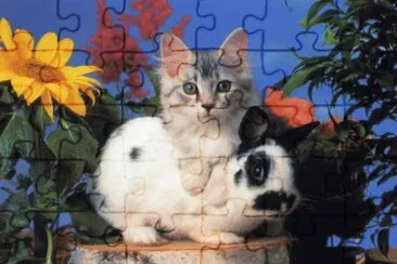 Amics jigsaw puzzle