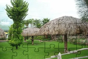 palapas