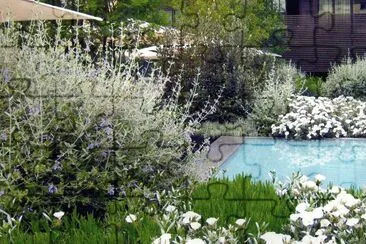 JardÃ¬ Botanic-Barcelona jigsaw puzzle