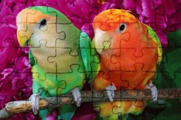 image jigsaw puzzle