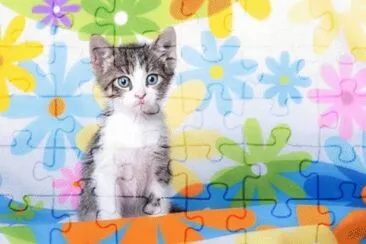 image jigsaw puzzle