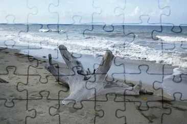 arena y mar