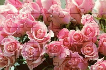 פאזל של rosal