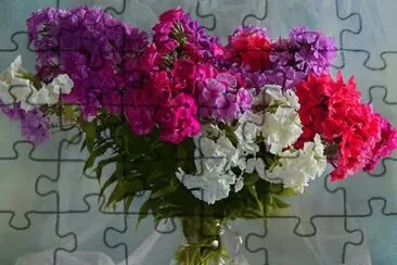 tzfgdv jigsaw puzzle