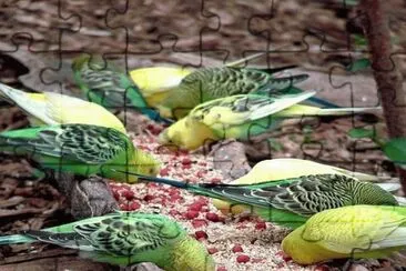 . jigsaw puzzle