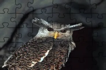 . jigsaw puzzle