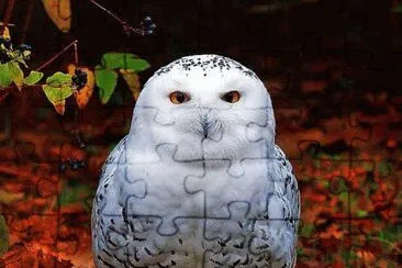 . jigsaw puzzle