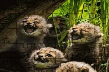 . jigsaw puzzle