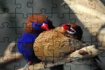 . jigsaw puzzle