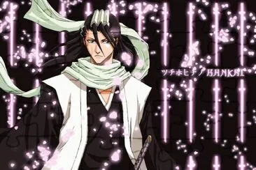 Byakuya kuchiki jigsaw puzzle