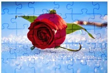 image jigsaw puzzle