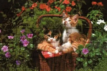 gatets jigsaw puzzle
