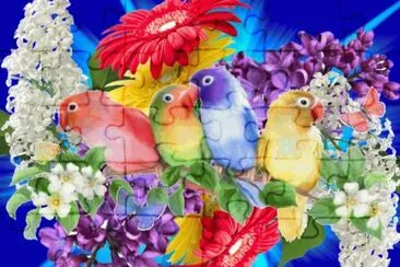 bzgf jigsaw puzzle