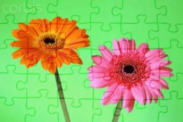image jigsaw puzzle