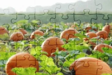 Halloween 3 jigsaw puzzle