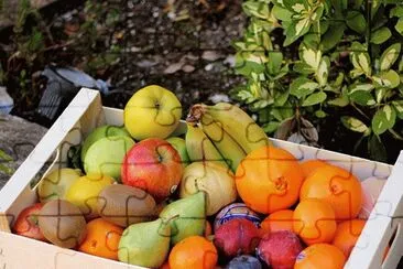 fruita jigsaw puzzle
