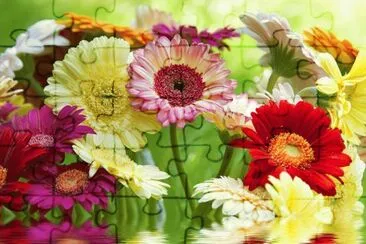 zeeeeeee jigsaw puzzle