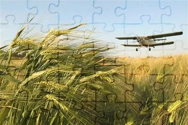 פאזל של FUMIGACIÃ“N DE TRIGALES EN RUSIA