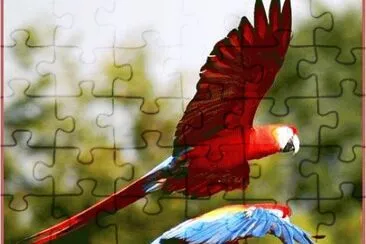 synchro flying jigsaw puzzle