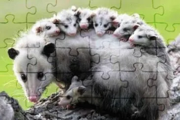 mom #117 jigsaw puzzle