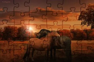 v jigsaw puzzle